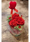 Örökrózsa szív alakú virágos díszdobozban 6x6cm-es