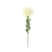 Selyemvirág Protea 61x9x9 cm
