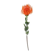 Selyemvirág Protea 61x9x9 cm