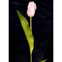Tulipán Abhika 83cm rózsaszín