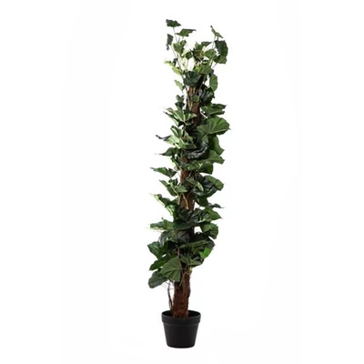 Selyemvirág Nyíllevél kaspóban 130 cm