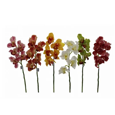 Selyemvirág csónakorchidea 5fej krém