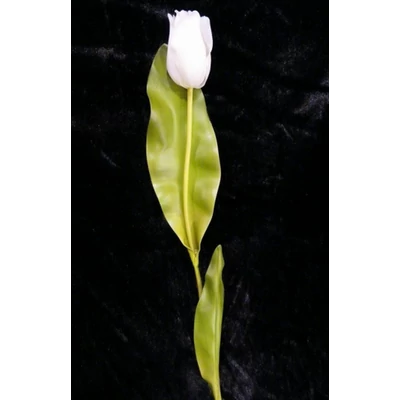 Tulipán Abhika 83cm fehér